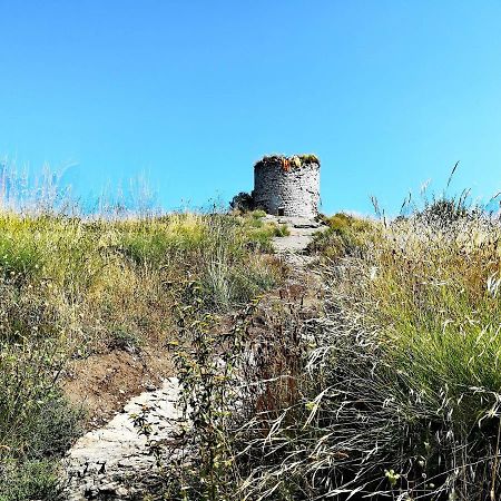 فندق San Vicente de Torellóفي  Casa Rural Can Bigotis المظهر الخارجي الصورة